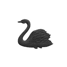 Black Dresden Swans ~ 9