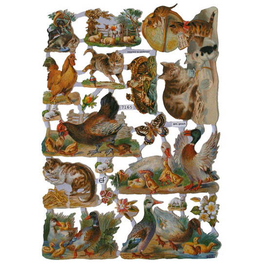 Farmyard Animals Scraps ~ Germany
