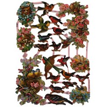 Birds and Flowers Scraps ~ Germany