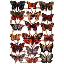 Beautiful Butterfly Scraps ~ Germany
