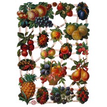Exotic Fruits Scraps ~ Germany