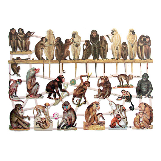 Mixed Monkeys Scraps ~ Germany