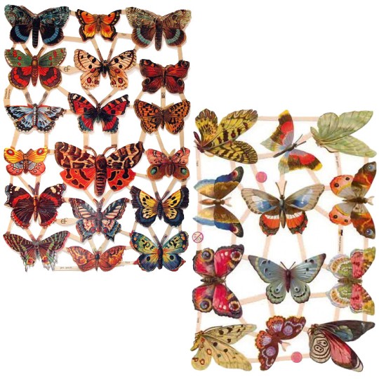 Butterflies Master Scrap Pack ~ 6 Assorted Sheets
