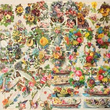 Mixed Flowers Master Scrap Pack ~ 8 Assorted Sheets