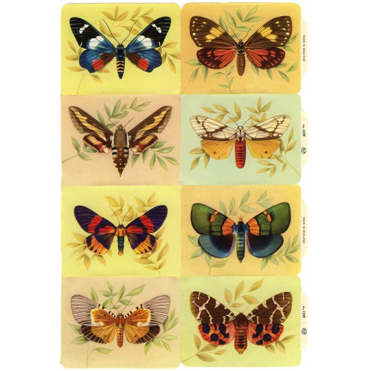 Vintage MLP Butterfly Scraps ~ England