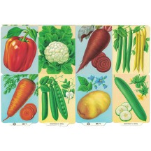 Mixed Vegetables ~ Vintage MLP ~ England ~ Out of Print