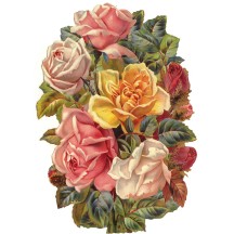 Large Cabbage Roses Scrap ~ Germany