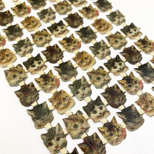 Miniature Kitty Cat Faces Scraps ~ Germany
