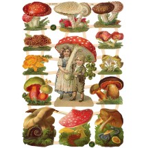Charming Mixed Mushrooms Scraps ~ Germany ~ New for 2015
