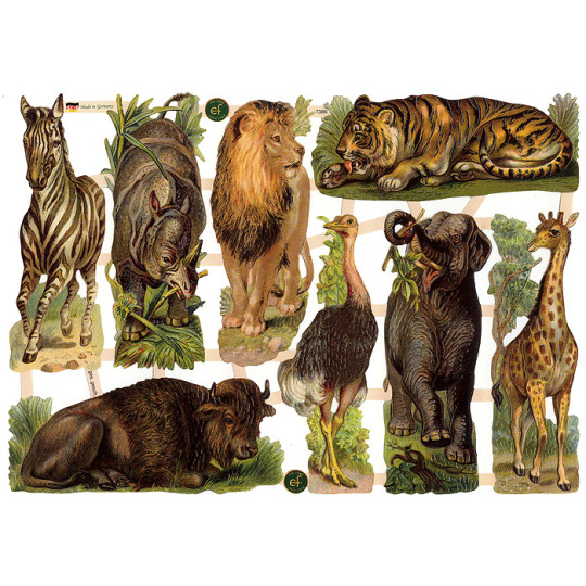 Wild Jungle Animals Scraps ~ Germany