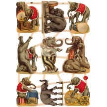 Mixed Circus Elephant Scraps ~ Germany ~ New for 2016