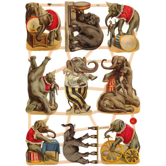 Mixed Circus Elephant Scraps ~ Germany