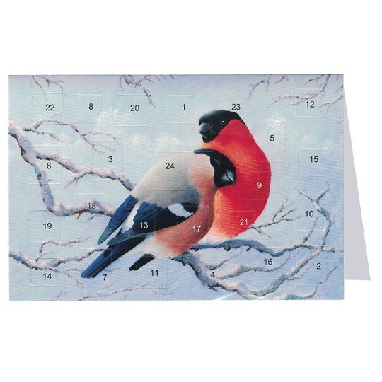 Christmas Birds Advent Calendar Card from Sweden ~ 6-3/4" x 4-1/2"