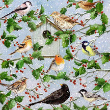 Birds and Greenery Advent Calendar ~ England ~ 8-3/8" x 8-3/8" 