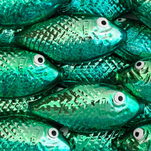 1 Large Light Green and Teal Fish Bead 2-3/4" ~ Czech Republic