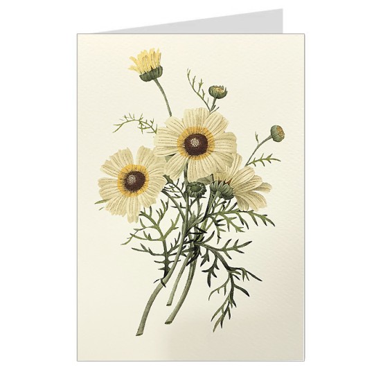 Cream Flowers Fancy Card with Gold Highlights ~ Rossi Italy