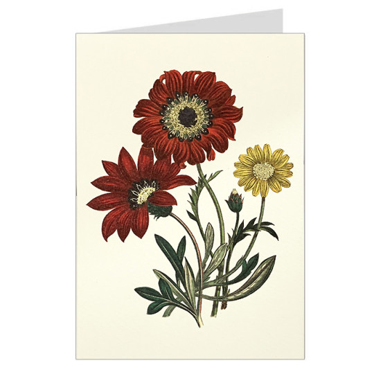 Red Flowers Fancy Card with Gold Highlights ~ Rossi Italy