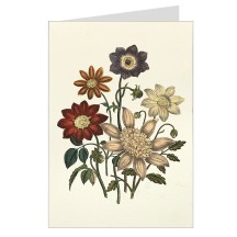 Mixed Flowers Fancy Card with Gold Highlights ~ Rossi Italy