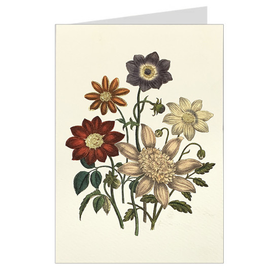 Mixed Flowers Fancy Card with Gold Highlights ~ Rossi Italy