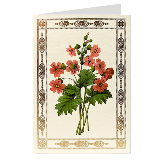 Red Primrose Fancy Card with Elaborate Golden Border ~ Rossi Italy