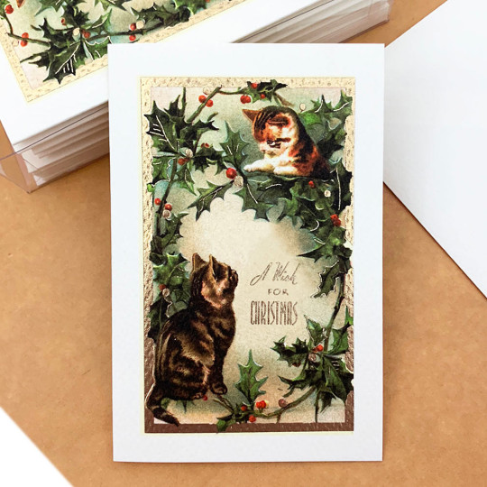 Cats with Greenery Christmas Cards Boxed Set ~ 10 Cards + 10 Envelopes ~ Rossi Italy