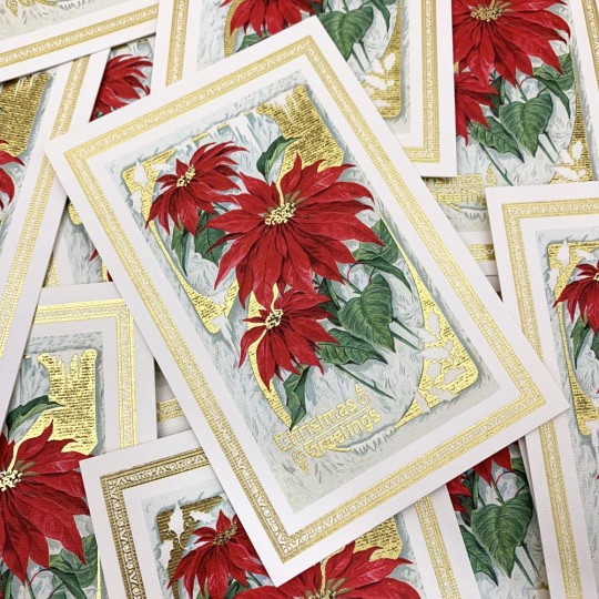 Christmas Poinsettias Gold Foil Postcard ~ Rossi Italy