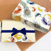 Italian Stationery Folded Card Set ~ 10 Cards + 10 envelopes ~ Rossi Mixed Feathers with Gold Highlights