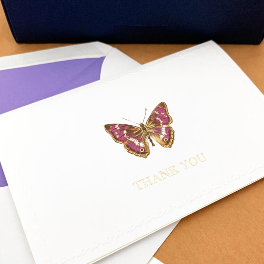 Italian Stationery Folded Thank You Card Set ~ 10 Cards + 10 Envelopes ~ Rossi Butterfly