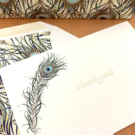 Italian Stationery Flat Thank You Card Set ~ 10 Cards + 10 Envelopes ~ Rossi Blue Peacock