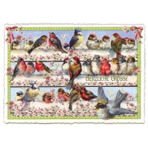 Large Birds and Flowers Postcard ~ Germany