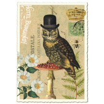 Large Dapper Owl Collage Postcard ~ Germany