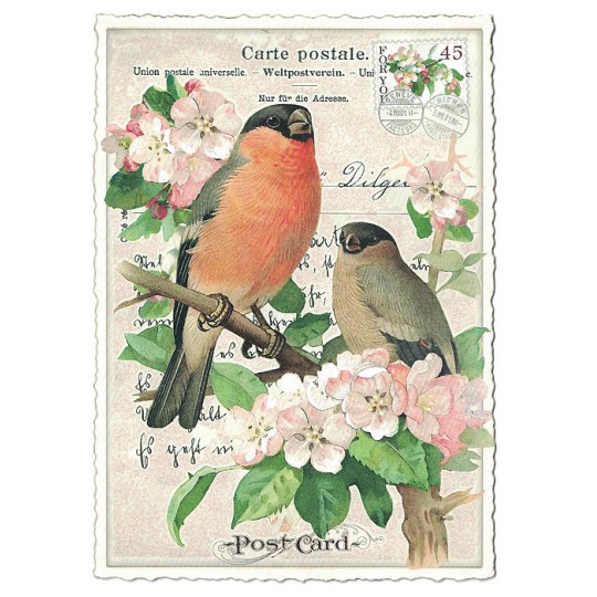 Bird Collage Postcard ~ Germany