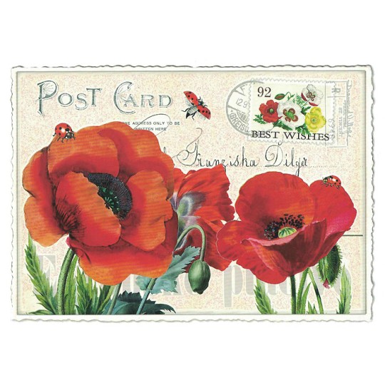 Red Poppies Collage Postcard ~ Germany