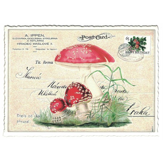 Red Mushroom Collage Postcard ~ Germany