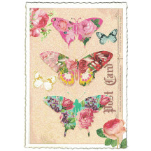 Butterfly Collage Postcard ~ Germany