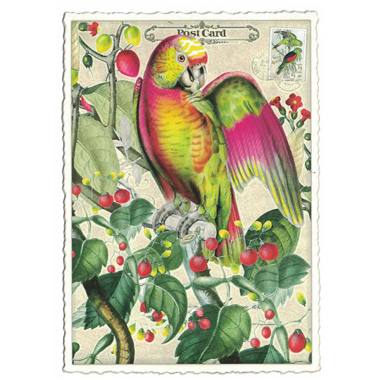 Tropical Parrot Glittered Postcard ~ Germany