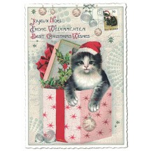 Kitten Christmas Wishes Postcard ~ Germany