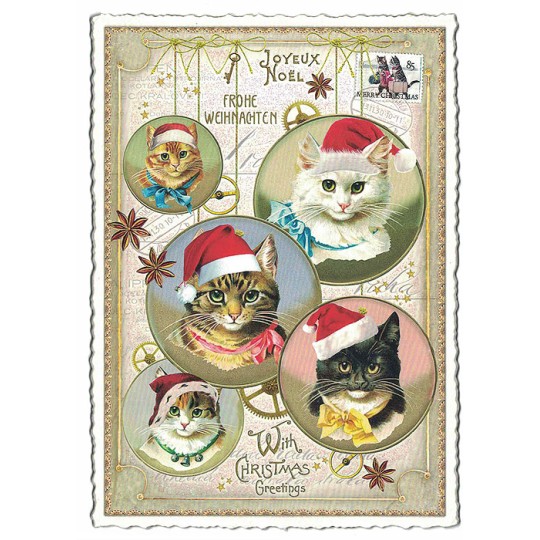 Festive Christmas Cats Postcard ~ Germany