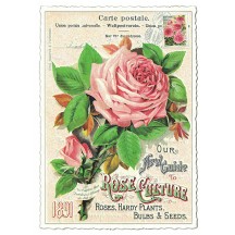 Pink Rose Collage Glittered Postcard ~ Germany