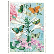 Butterfly and Flower Collage Postcard ~ Germany