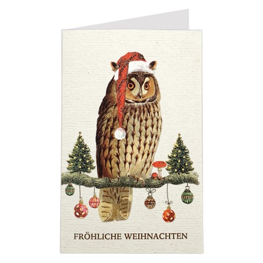 Whimsical Owl Glittered Christmas Card ~ Germany