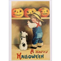Boy Selecting Pumpkin Halloween Postcard ~ Holland