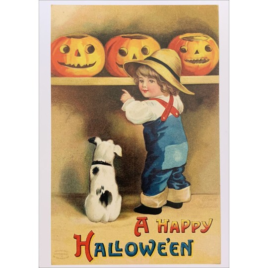Boy Selecting Pumpkin Halloween Postcard ~ Holland