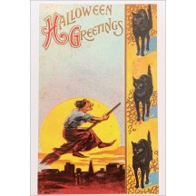 Witch and Black Cat Halloween Postcard ~ Holland