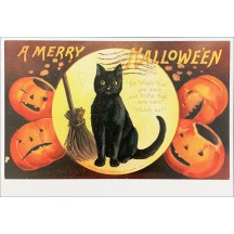 Black Cat with Pumpkins Halloween Postcard ~ Holland