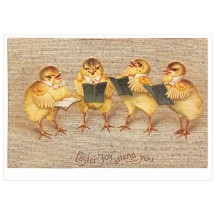 Singing Chick Band Easter Postcard ~ Holland