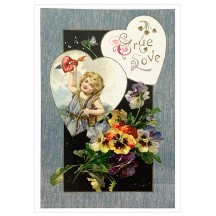 True Love Pansies Valentine Postcard ~ Holland