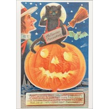 Black Cat Halloween Postcard ~ Holland