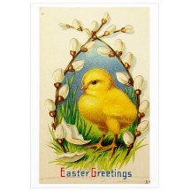 Chick with Pussy Willows Easter Postcard ~ Holland