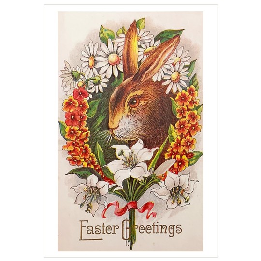 Bunny with Flowers Easter Postcard ~ Holland